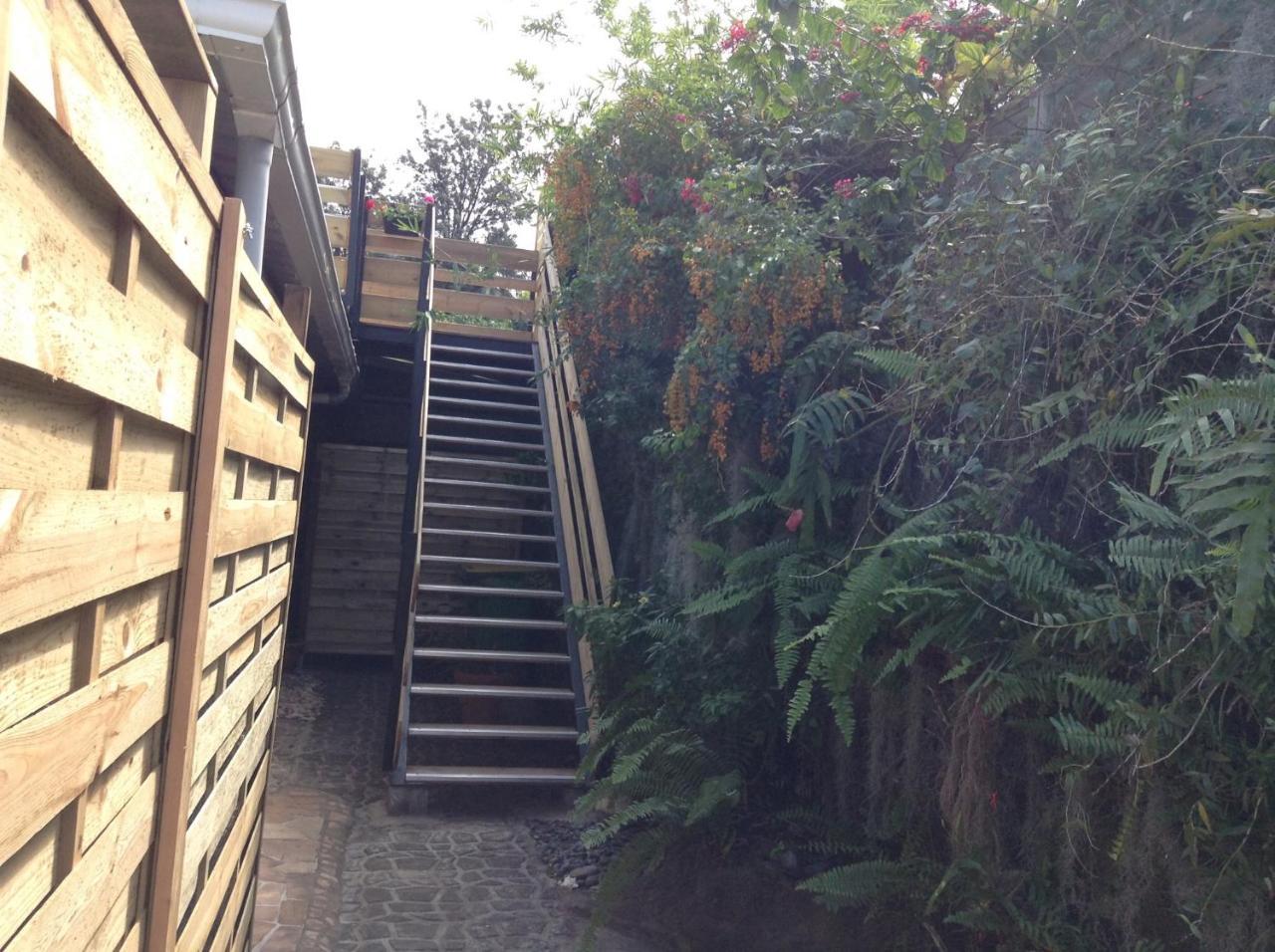 Ravine SecheLe Begonia公寓 外观 照片